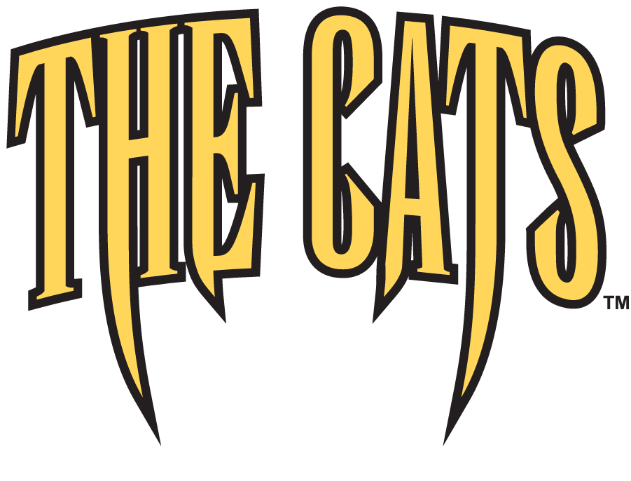Western Carolina Catamounts 1996-2003 Wordmark Logo diy iron on heat transfer